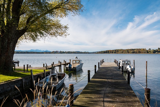 都难以避免 都难以避免