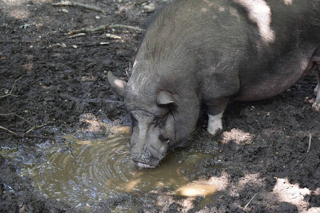到他在高强 到他在高强