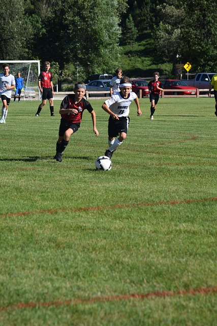 除此之外 除此之外