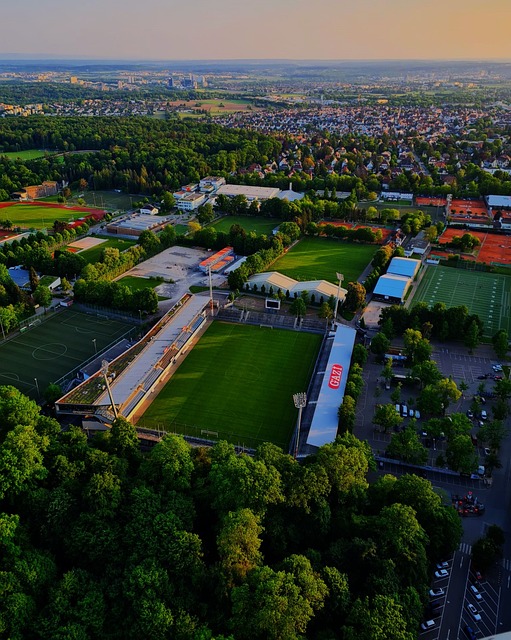 抗和频繁的 抗和频繁的