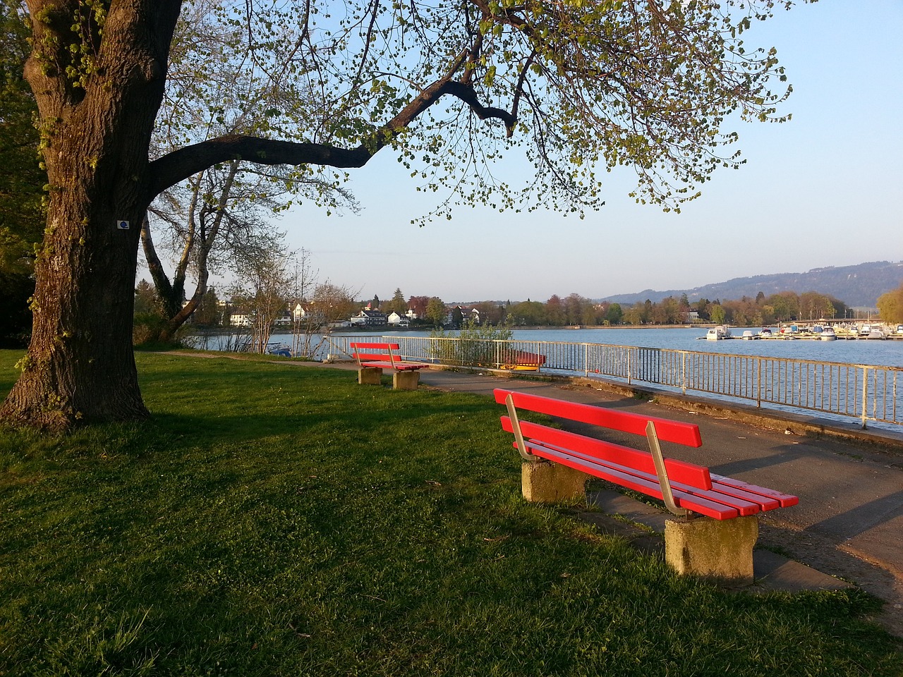 罚处理得当 罚处理得当